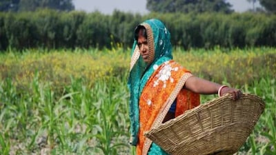 PM Kisan: 30 Lakh Farmers Removed, Check Your Name Before 22nd Installment