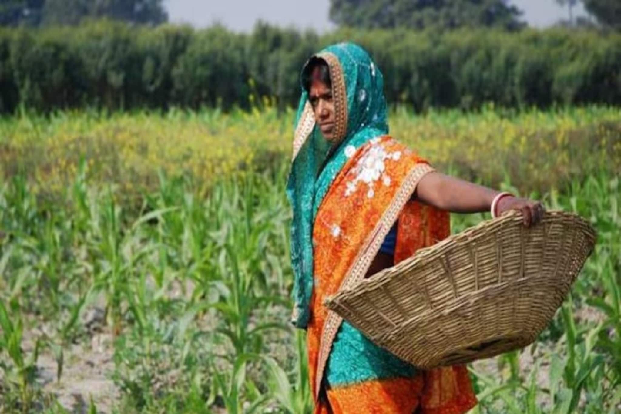 PM Kisan: ৩০ লক্ষ কৃষকের নাম বাদ দেওয়া হয়েছে, তালিকায় নাম আছে কি না দেখে নিন PM Kisan: ৩০ লক্ষ কৃষকের নাম বাদ দেওয়া হয়েছে, তালিকায় নাম আছে কি না দেখে নিন
