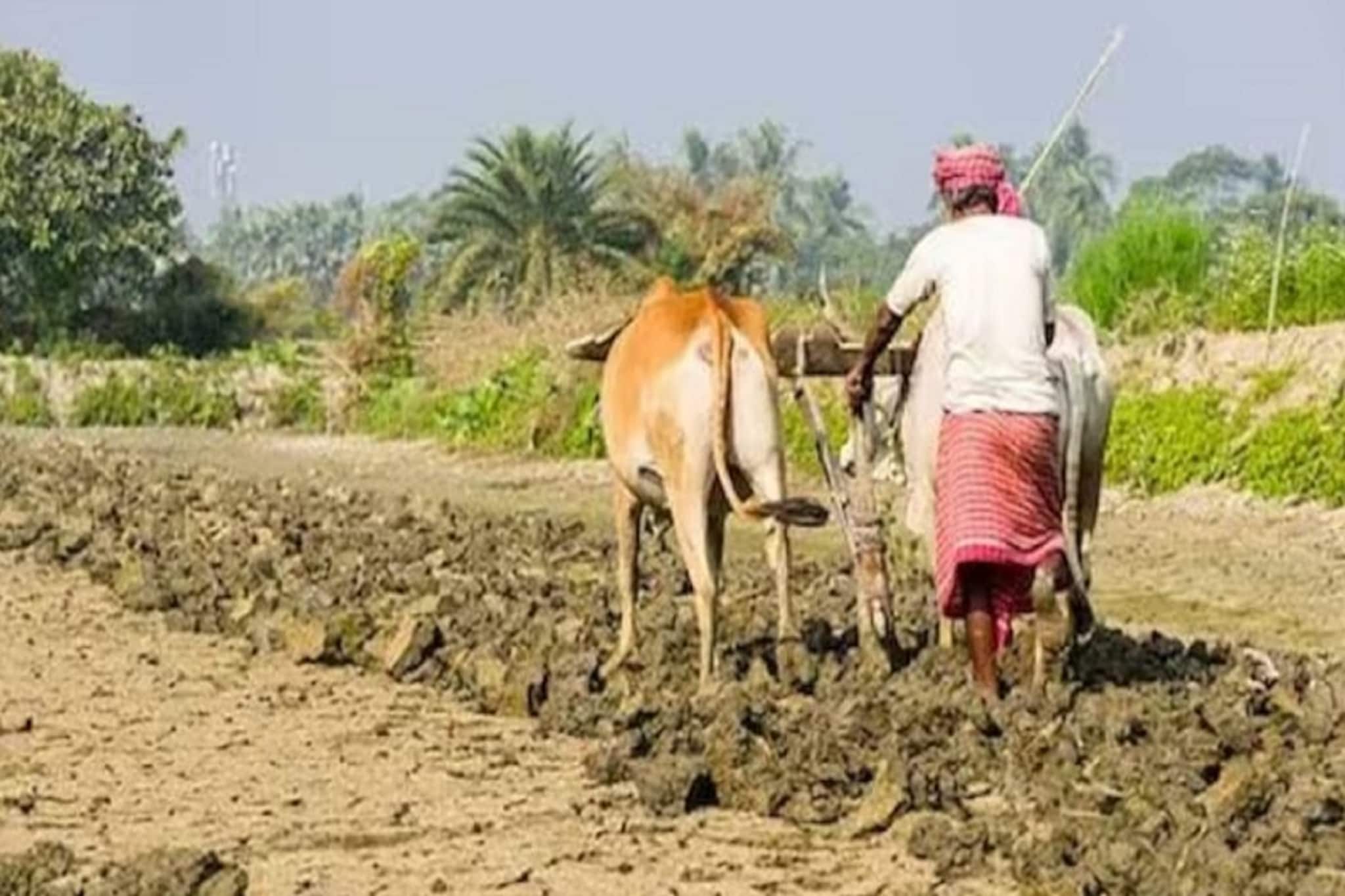 আপনার নাম পিএম কিষানের লিস্ট থেকে বাদ পড়ে যায়নি তো ? মোবাইল থেকে মিনিটের মধ্যে জেনে নিন