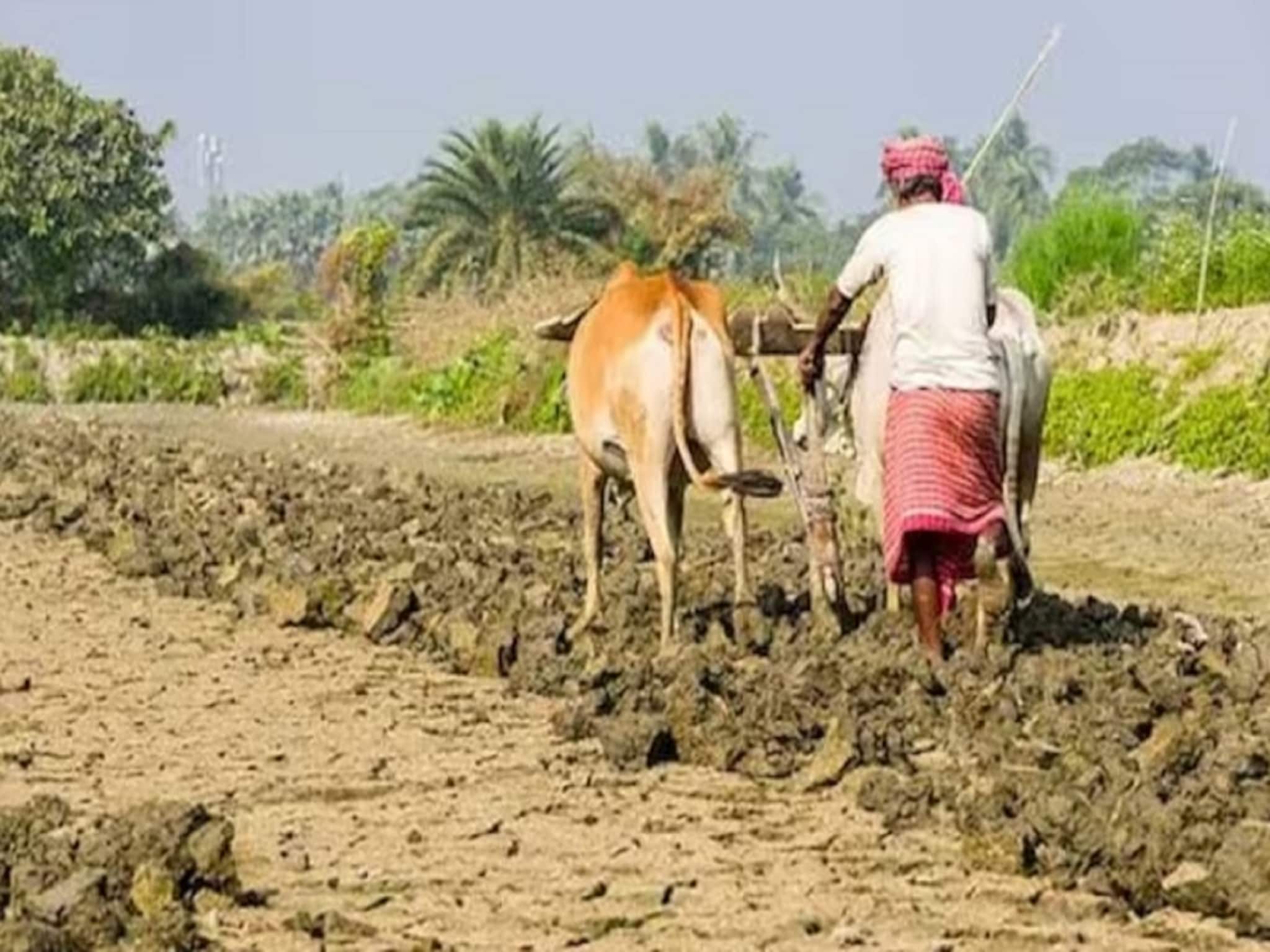 আপনার নাম পিএম কিষানের লিস্ট থেকে বাদ পড়ে যায়নি তো ? মোবাইল থেকে মিনিটের মধ্যে জেনে নিন