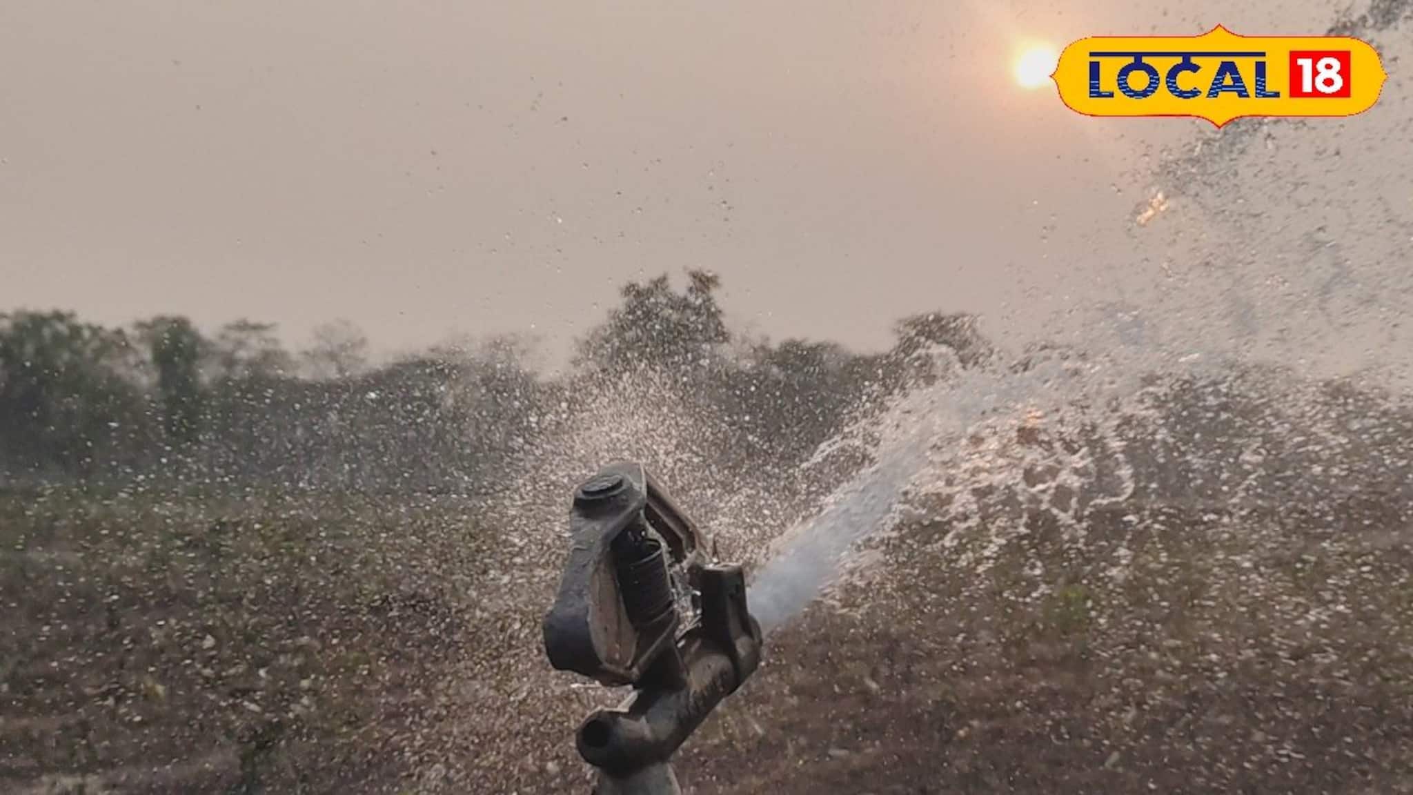 Jalpaiguri News: অল্প জলেই কেল্লাফতে! কৃত্রিম বৃষ্টিতে সবুজ চা বাগানে ফলছে স্বাদে-গন্ধে উন্নত পাতা, ডুয়ার্স-তরাইয়ে স্প্রিংকলার সেচে দারুণ সাফল্য