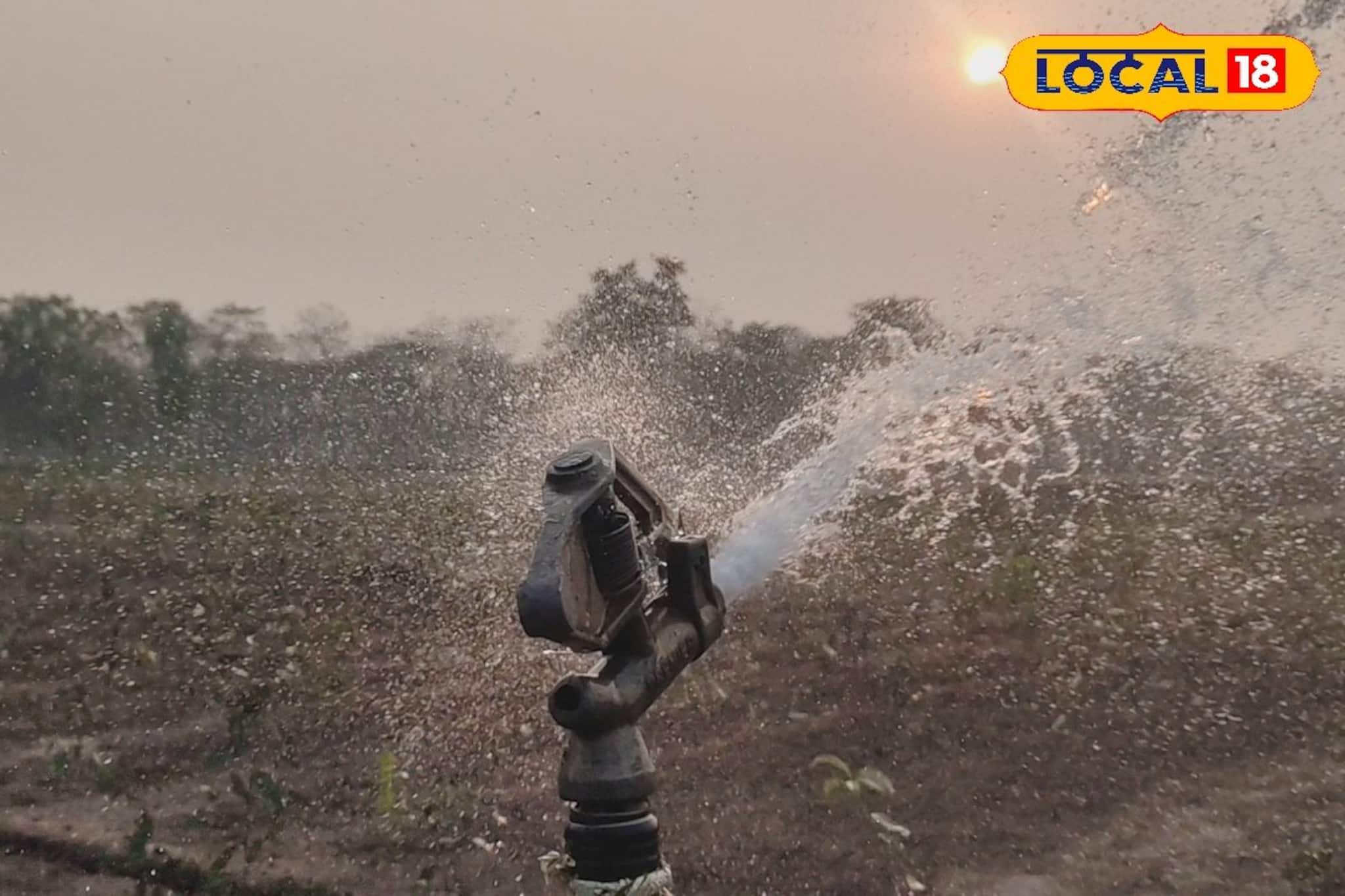 কৃত্রিম বৃষ্টিতে সবুজে ভরছে চা বাগান, ডুয়ার্স-তরাইয়ে স্প্রিংকলার সেচের সাফল্য