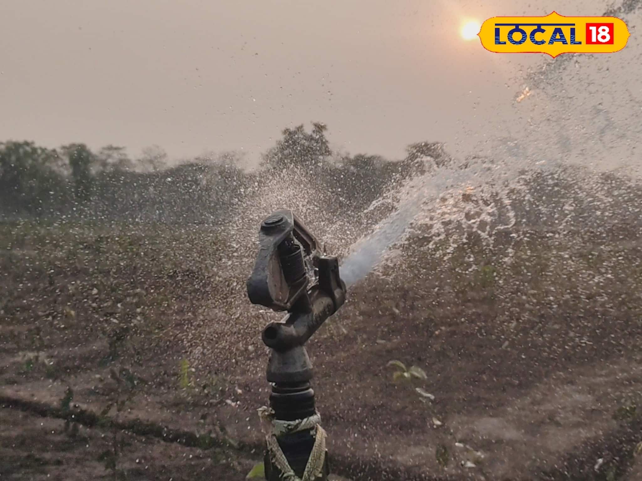 কৃত্রিম বৃষ্টিতে সবুজে ভরছে চা বাগান, ডুয়ার্স-তরাইয়ে স্প্রিংকলার সেচের সাফল্য