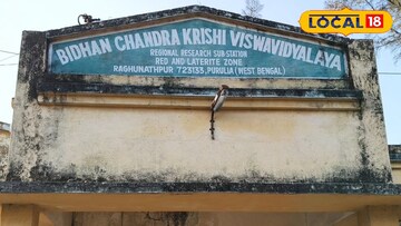 বিধানচন্দ্র