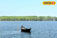 Purulia Tourism: ড্যাম-জঙ্গল-পাহাড়, পাগল করা সৌন্দর্য! পুরুলিয়ার প্রাণ জুড়ানো অফবিট ‘মিনি সুন্দরবন’, সঙ্গীকে নিয়ে হারিয়ে যাওয়ার পারফেক্ট ঠিকানা