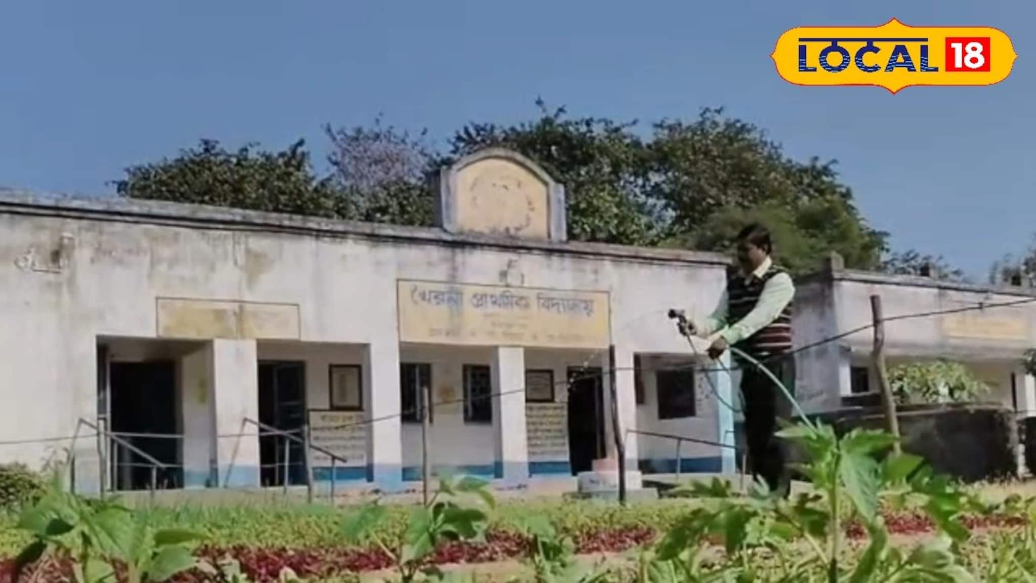 বাজারে কেনা সবজি বাদ, স্কুলের মাঠেই ফলছে অমৃত! প্রধান শিক্ষকের উদ্যোগে মিলছে ভরপুর পুষ্টি