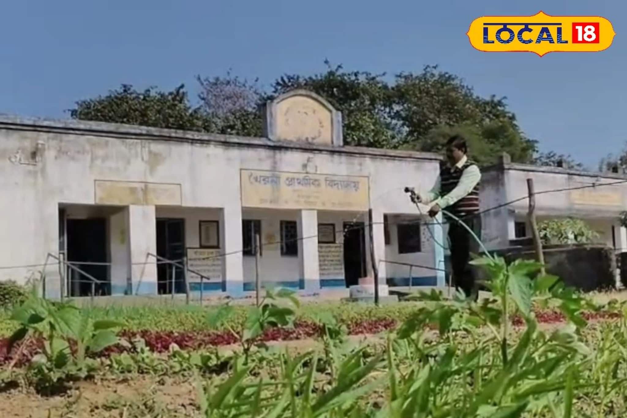 বাজারে কেনা সবজি বাদ, স্কুলের মাঠেই ফলছে অমৃত! প্রধান শিক্ষকের উদ্যোগে মিলছে ভরপুর পুষ্টি বাজারে কেনা সবজি বাদ, স্কুলের মাঠেই ফলছে অমৃত! প্রধান শিক্ষকের উদ্যোগে মিলছে ভরপুর পুষ্টি