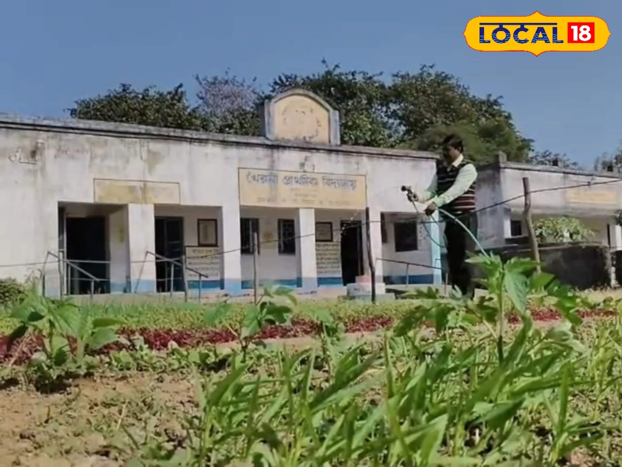 বাজারে কেনা সবজি বাদ, স্কুলের মাঠেই ফলছে অমৃত! প্রধান শিক্ষকের উদ্যোগে মিলছে ভরপুর পুষ্টি বাজারে কেনা সবজি বাদ, স্কুলের মাঠেই ফলছে অমৃত! প্রধান শিক্ষকের উদ্যোগে মিলছে ভরপুর পুষ্টি
