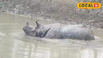 লোকালয়ে