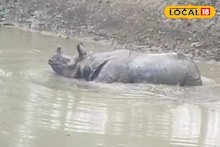 Rhino Attack: শীতের সকালে আলিপুরদুয়ারে হাড়হিম কাণ্ড! লোকালয়ে গণ্ডার, দাপাদাপি করতে গিয়ে পড়ল পুকুরে, বাগে আনতে হিমশিম খাচ্ছে বন দফতর