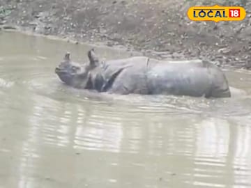 লোকালয়ে