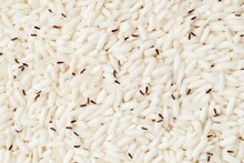 চালে গিজগিজ করছে পোকা? একটাও টাকা খরচ না করেই এই 'টিপস' মানলে সব পোকা উধাও হবে!