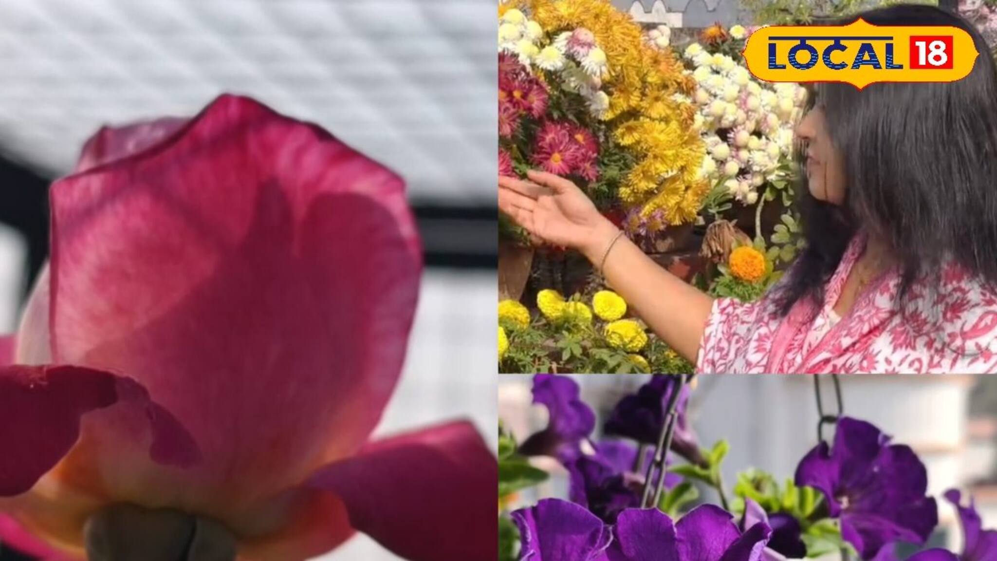 নাজমার হাত ধরে ছাদ বাগান এখন জনপ্রিয় বহরমপুরে, পছন্দের তালিকায় রাখতে পারেন আপনিও!