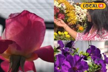 Rooftop Garden: নাজমার হাত ধরে ছাদ বাগান এখন জনপ্রিয় বহরমপুরে, পছন্দের তালিকায় রাখতে পারেন আপনিও! তবে খেয়াল রাখতে হবে এইসব জিনিস