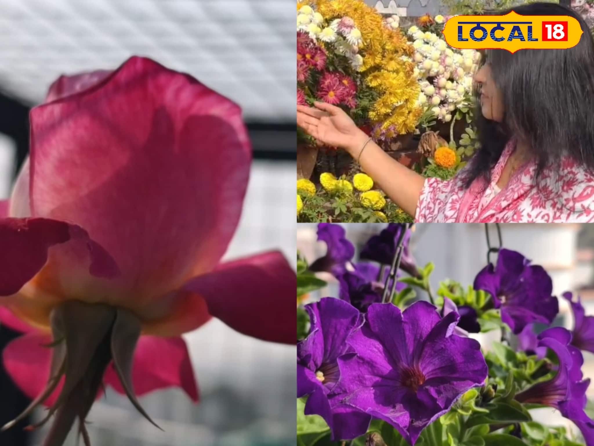 নাজমার হাত ধরে ছাদ বাগান এখন জনপ্রিয় বহরমপুরে, পছন্দের তালিকায় রাখতে পারেন আপনিও!