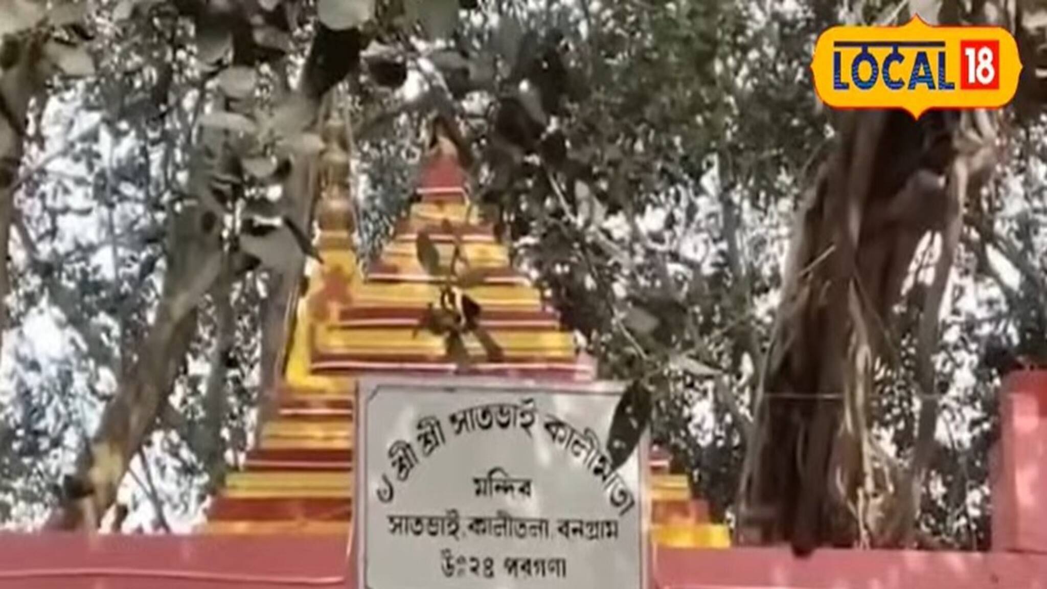 পৌষ মাসেই যেন জেগে ওঠে ইছামতির ধারে সাত ভাই কালিতলার দেবী মা
