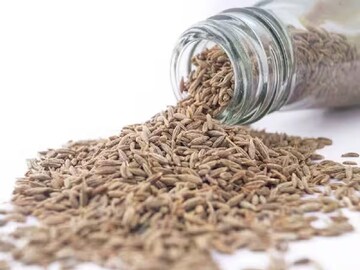 ওজন কমানো থেকে ফুসফুস ভাল রাখা, বছরভর সুস্থ থাকতে রোজের রান্নায় জিরে খাওয়া মাস্ট