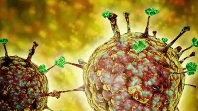 নিপা ভাইরাস সংক্রমণ, নিপা ভাইরাস সংক্রমণ, নিপা ভাইরাসের মৃত্যুহার, নিপা ভাইরাসের প্রতিকার, নিপা ভাইরাসের চিকিৎসা, নিপাতে মৃত্যু, নিপাহ ভাইরাসে আক্রান্ত, নিপা ভাইরাস কলকাতা, বাংলায় নিপা ভাইরাসের সংক্রমণ, বাংলায় নিপা আতঙ্ক, বাংলায় নিপা সংক্রমণ, ভাইরাস, নিপা ভাইরাসের লক্ষণ, নিপা ভাইরাসের উপস্বর্গ, নিপা ভাইরাসের ভয়, নিপা ভাইরাস হয়েছে কী করে বুঝবেন, নিপা সংক্রমণের কী কী লক্ষণ, নিপা ভাইরাসের প্রতিকার কী কী, বাংলা, কলকাতা, কল্যাণী, নিপাহ আক্রান্ত নার্সের শারীরিক অবস্থা, নিপা ভাইরাস সংক্রান্ত যাবতীয় জরুরি খবর, নিপা ভাইরাস সংক্রান্ত জরুরি তথ্য