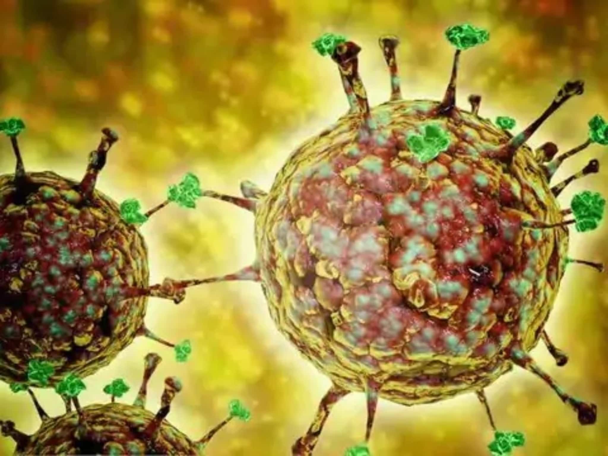 মৃত্যুহার ৪০ থেকে ৭৫%...! 'নিপা' ভাইরাস সংক্রমণের 'উপসর্গ' কী কী? কী ভাবে প্রতিকার?