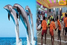 Howrah News: মৎসজীবীদের অসচেতনতার জেরে বিলুপ্তির পথে গাঙ্গেয় শুশুক! ডলফিন বাঁচাতে ময়দানে মহিলা কাবাডি দল