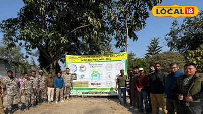 মহানন্দা ব্যারেজে পরিযায়ী পাখির সমাগম