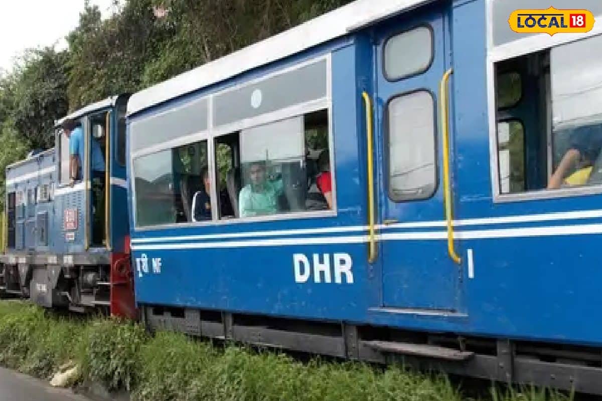 প্রায় পাঁচ বছরেরও বেশি সময় পর চালু হল টয়ট্রেনে জঙ্গল সাফারি! কোথায় কোথায় চলবে? খরচ কত?