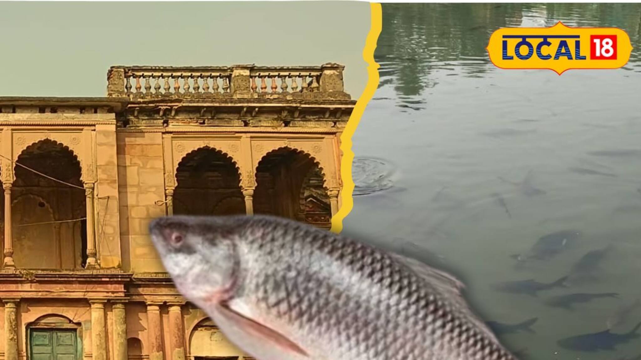 মুর্শিদাবাদ ঘুরতে গেলে লিস্টে রাখুন সোনারুন্দি রাজবাড়ি, দীঘি ভরা মাছ পাগল করে দেবে আপনাকে