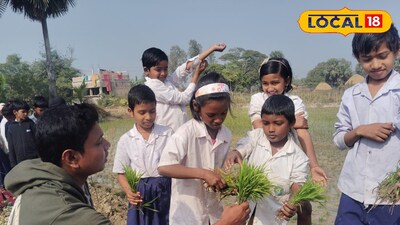 বীজতলা নিয়ে মাঠে ছাত্র-ছাত্রীরা