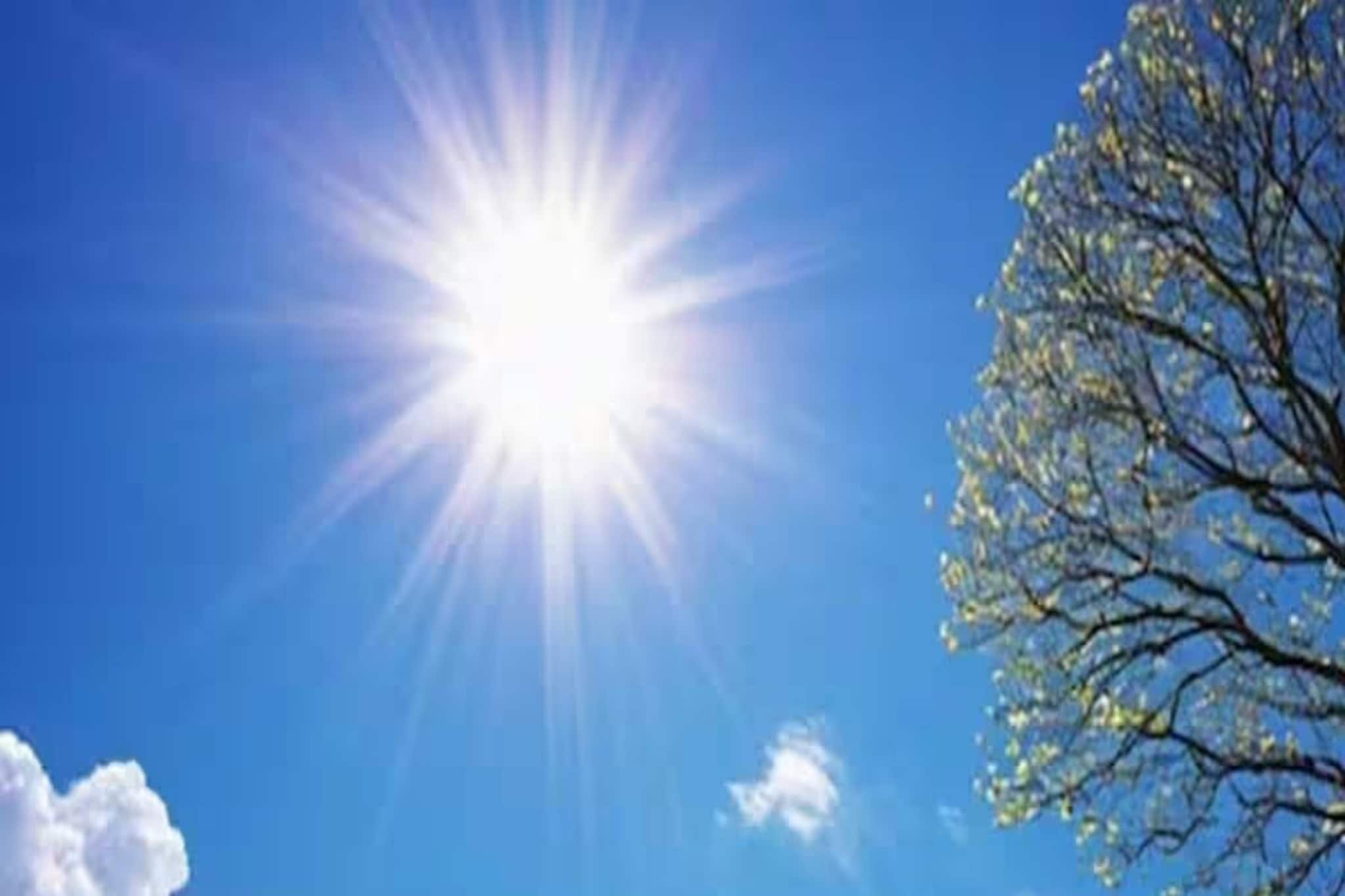 বেলা বাড়তেই উধাও শীতের আমেজ, দক্ষিণবঙ্গে ফের চড়ল পারদ, কেমন থাকবে আবহাওয়া ?