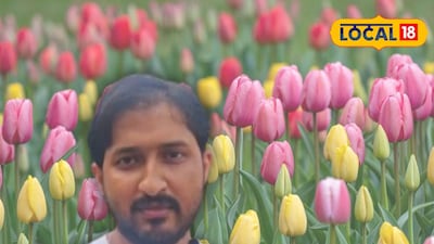 টিউলিপ ফুল ফুটেছে নদিয়ায়