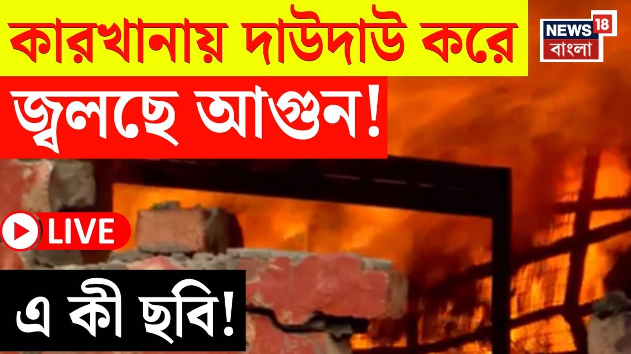ধাপায় ভয়াবহ আগুন, হুহু করে ছড়াচ্ছে আগুন! দেখুন ভয়াবহ ছবি