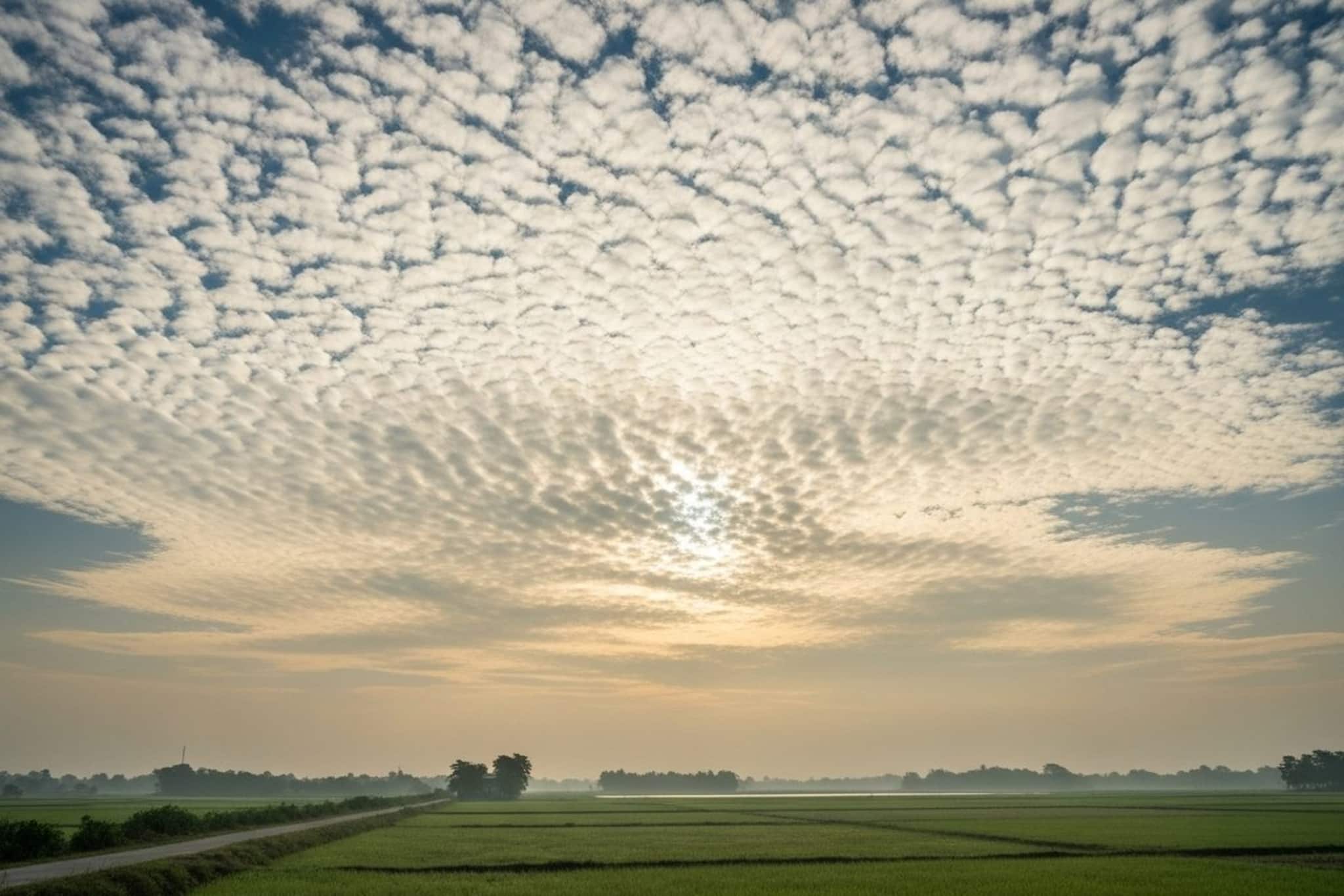 উধাও শীতের আমেজ, দক্ষিণবঙ্গে ফের চড়ল পারদ, কেমন থাকবে আবহাওয়া? দেখুন ভিডিও উধাও শীতের আমেজ, দক্ষিণবঙ্গে ফের চড়ল পারদ, কেমন থাকবে আবহাওয়া? দেখুন ভিডিও