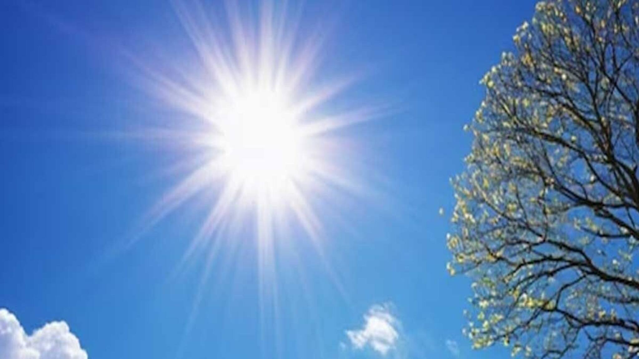 Weather Update : দক্ষিণবঙ্গ জুড়ে তাপমাত্রা বৃদ্ধির পূর্বাভাস, ফের ঠান্ডা বাড়তে পারে?