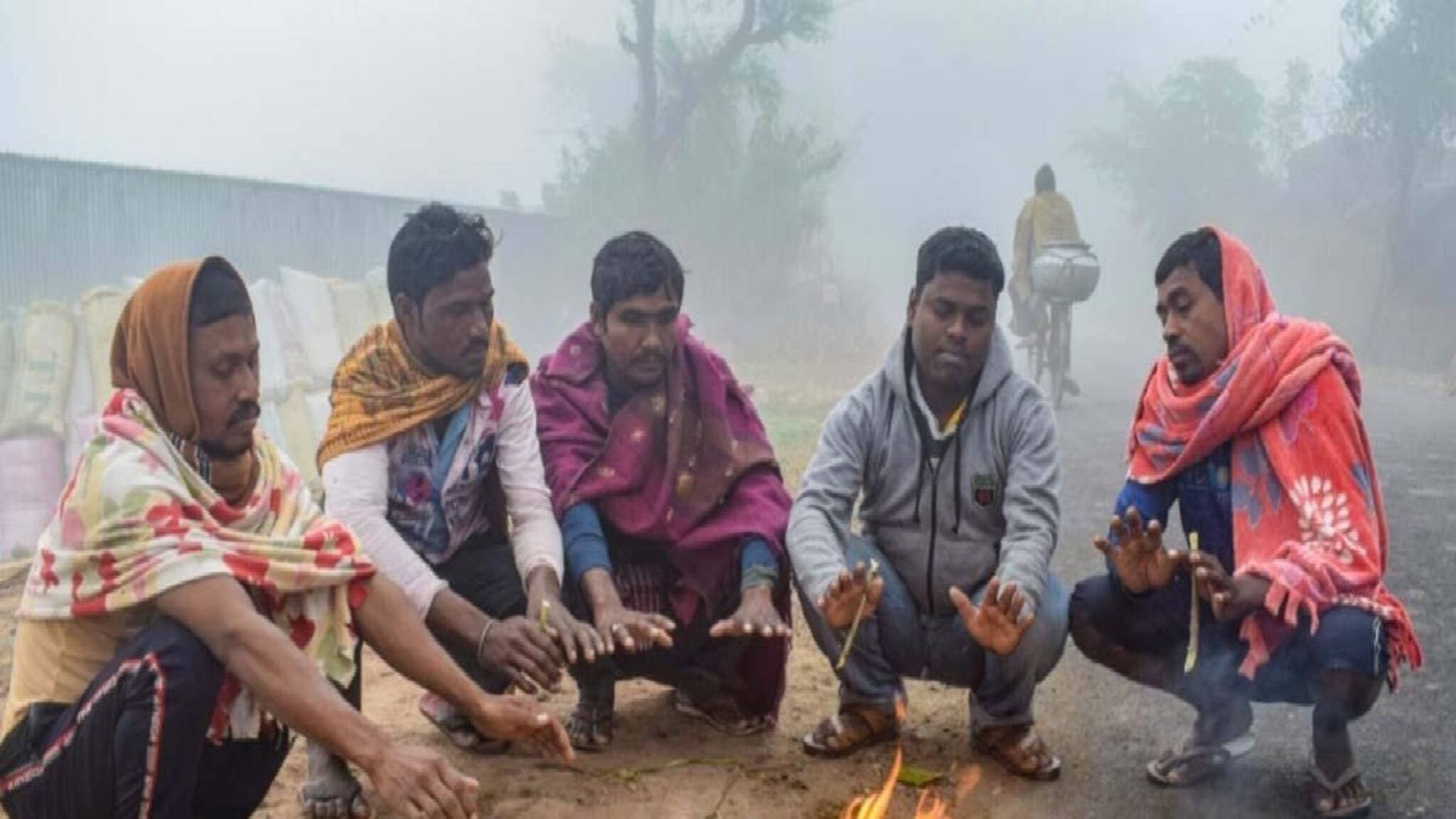 Weather Update: দক্ষিণবঙ্গের দুই জেলায় শৈত্যপ্রবাহ, উত্তরেও হাড়কাপানো ঠান্ডা! কেমন থাকবে আবহাওয়া, দেখুন ভিডিও