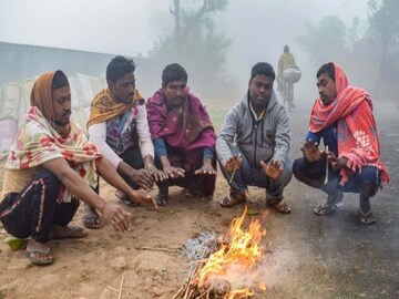 পরপর দু’দিন শীতের দাপট, ১.৭ ডিগ্রি নামল পারদ! জানুয়ারির শেষে কি আরও ঠান্ডা? দেখুন আপডেট
