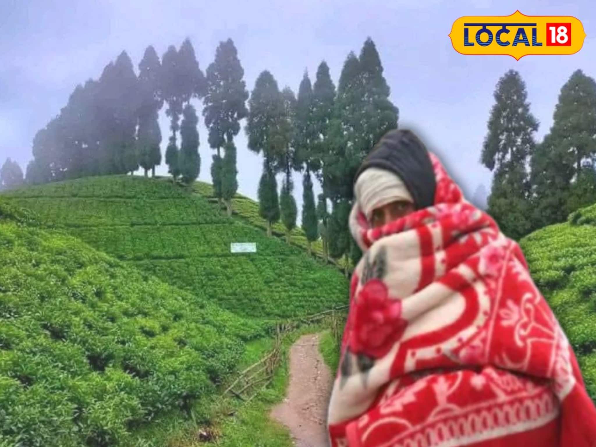 কনকনে ঠান্ডার মাঝেই ধেয়ে আসছে গভীর নিম্নচাপ, কী হতে চলেছে উত্তরবঙ্গে জানিয়ে দিল দফতর কনকনে ঠান্ডার মাঝেই ধেয়ে আসছে গভীর নিম্নচাপ, কী হতে চলেছে উত্তরবঙ্গে জানিয়ে দিল দফতর