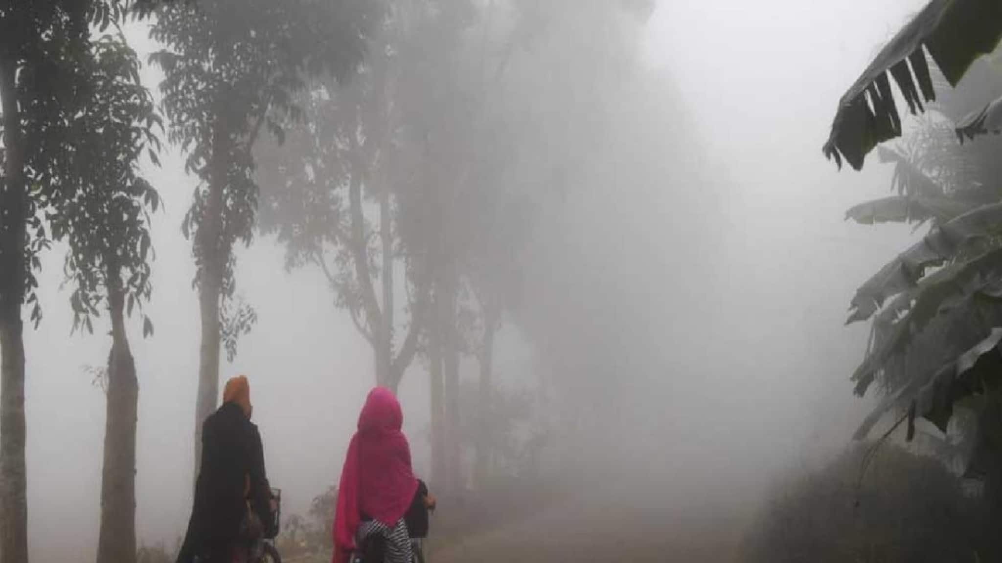 পশ্চিমী ঝঞ্ঝায় তাপমাত্রার পারদ নামবে, বাংলায় শীত 2.0! কাঁপুনি কোন কোন জেলায়? ওয়েদার আপডেট