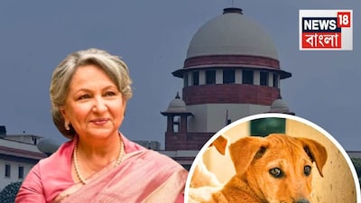 शर्मीला टैगोर की स्ट्रीट डॉग्स पर दलील SC ने खारिज की: 'आप वास्तविकता से बहुत दूर हैं'.