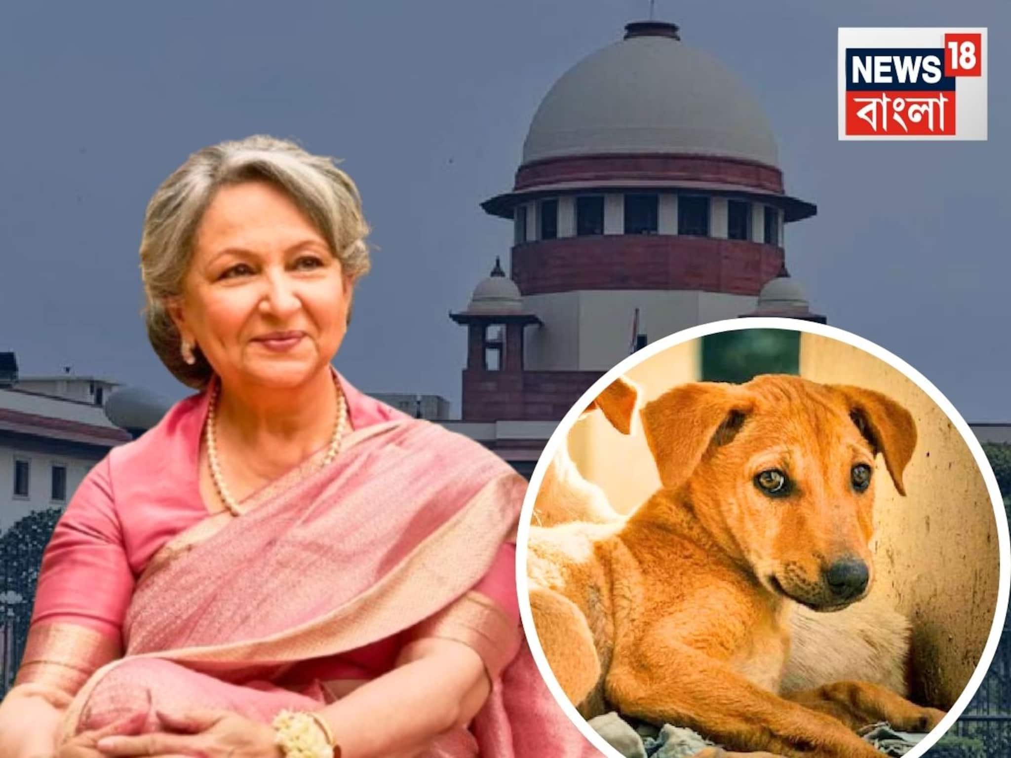 পথকুকুরদের পাশে শর্মিলা ঠাকুর...সুপ্রিম কোর্টে সওয়াল! ‘আপনি বাস্তব থেকে অনেক দূরে,’ বলল..