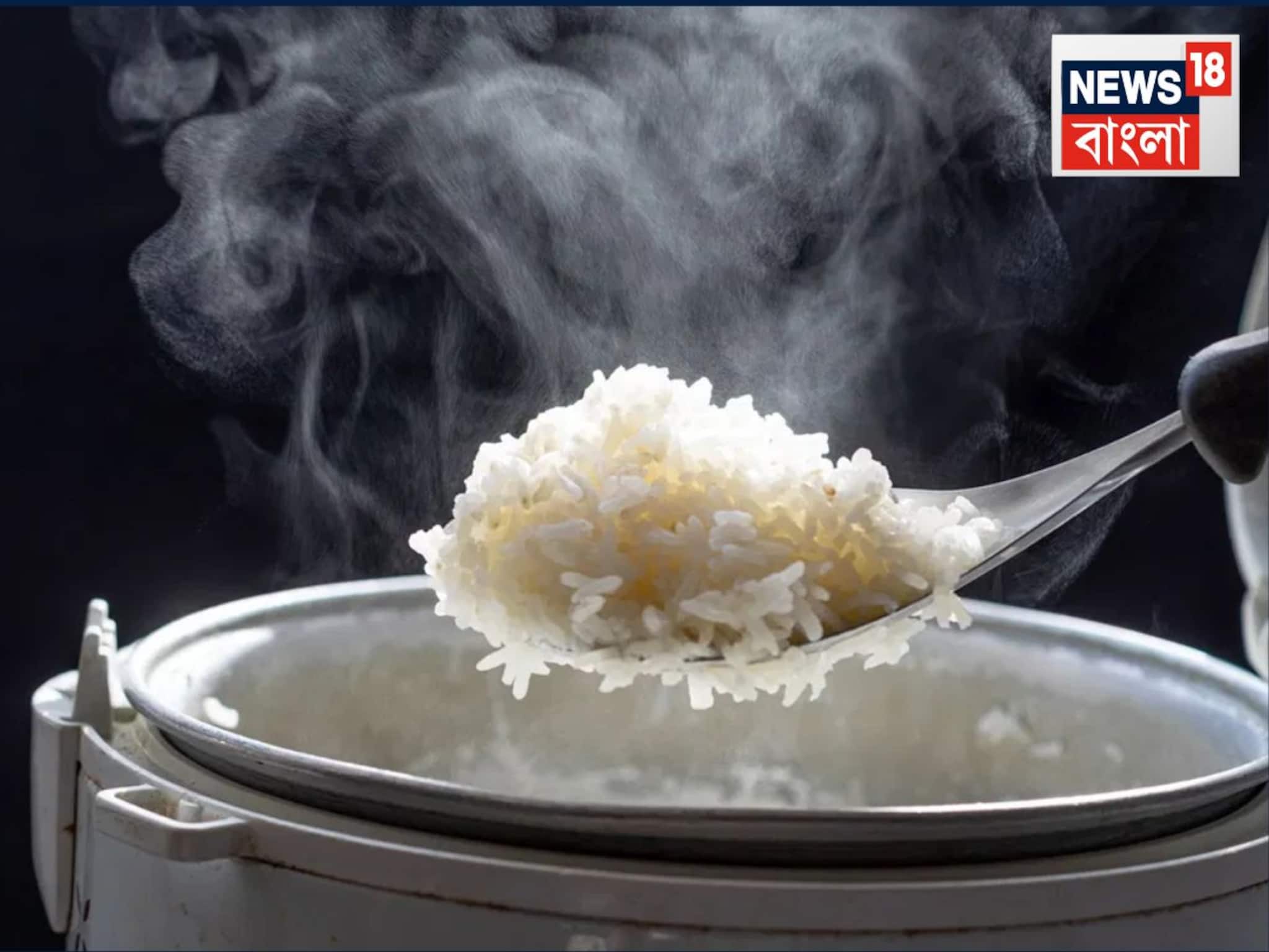 প্রেশার কুকারে ঠিক ক’টা সিটি দিলে ‘পারফেক্ট’ হয় ভাত! শেষে একটা সোজা কাজেই হয় ফলফলে-ঝরঝরে প্রেশার কুকারে ঠিক ক’টা সিটি দিলে ‘পারফেক্ট’ হয় ভাত! শেষে একটা সোজা কাজেই হয় ফলফলে-ঝরঝরে