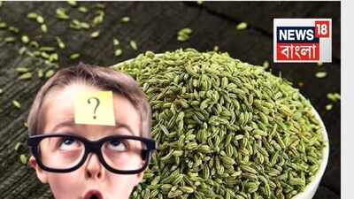 Fennel After Meals: More Than Just Digestion, It's a Restaurant Marketing Secret!