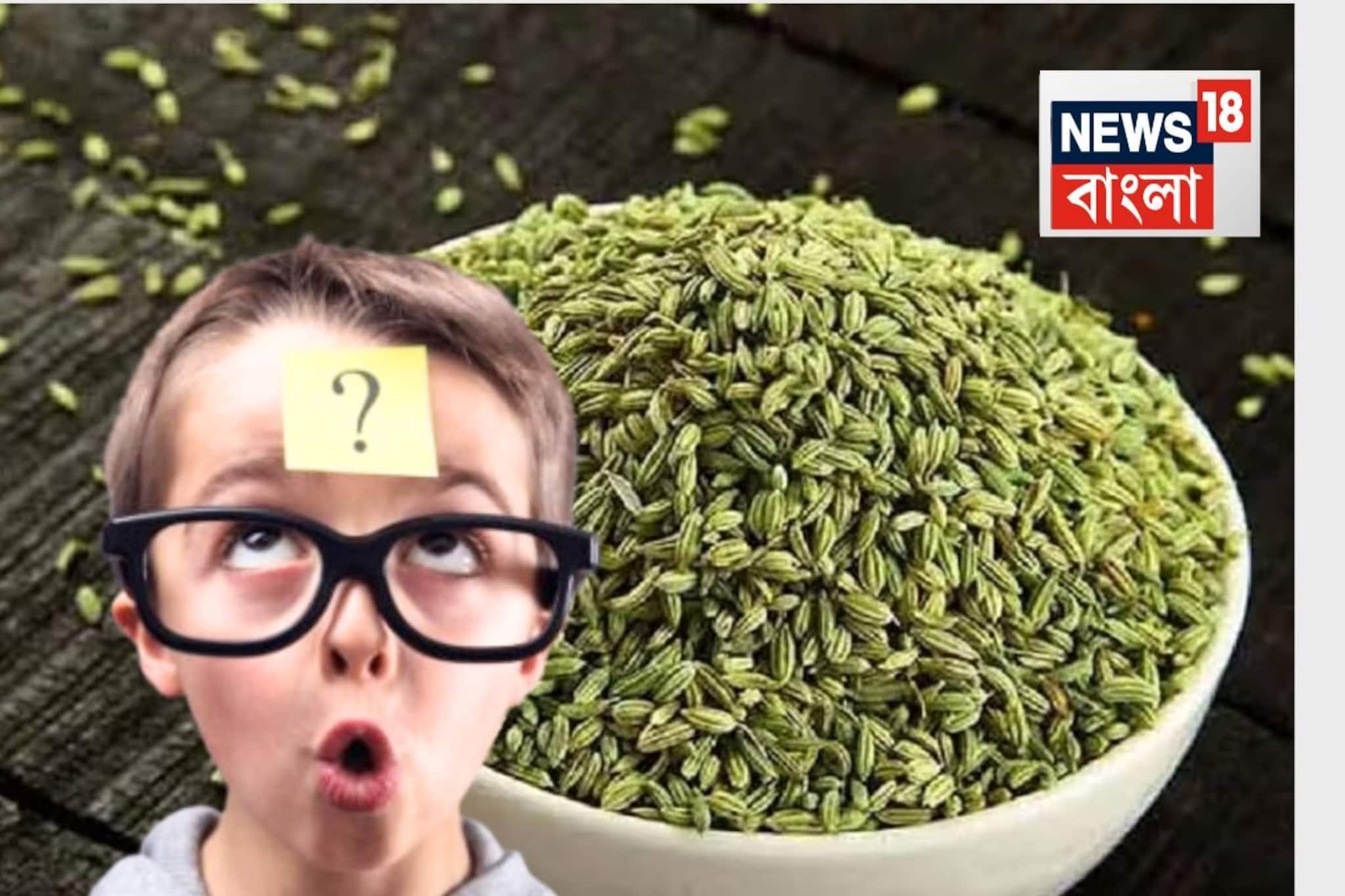 বলুন তো, রেস্তোরাঁয় খাওয়ার শেষে বিলের সাথে মৌরি কেন দেয়? কারণটা জানেই না গ্রাহকেরা বলুন তো, রেস্তোরাঁয় খাওয়ার শেষে বিলের সাথে মৌরি কেন দেয়? কারণটা জানেই না গ্রাহকেরা