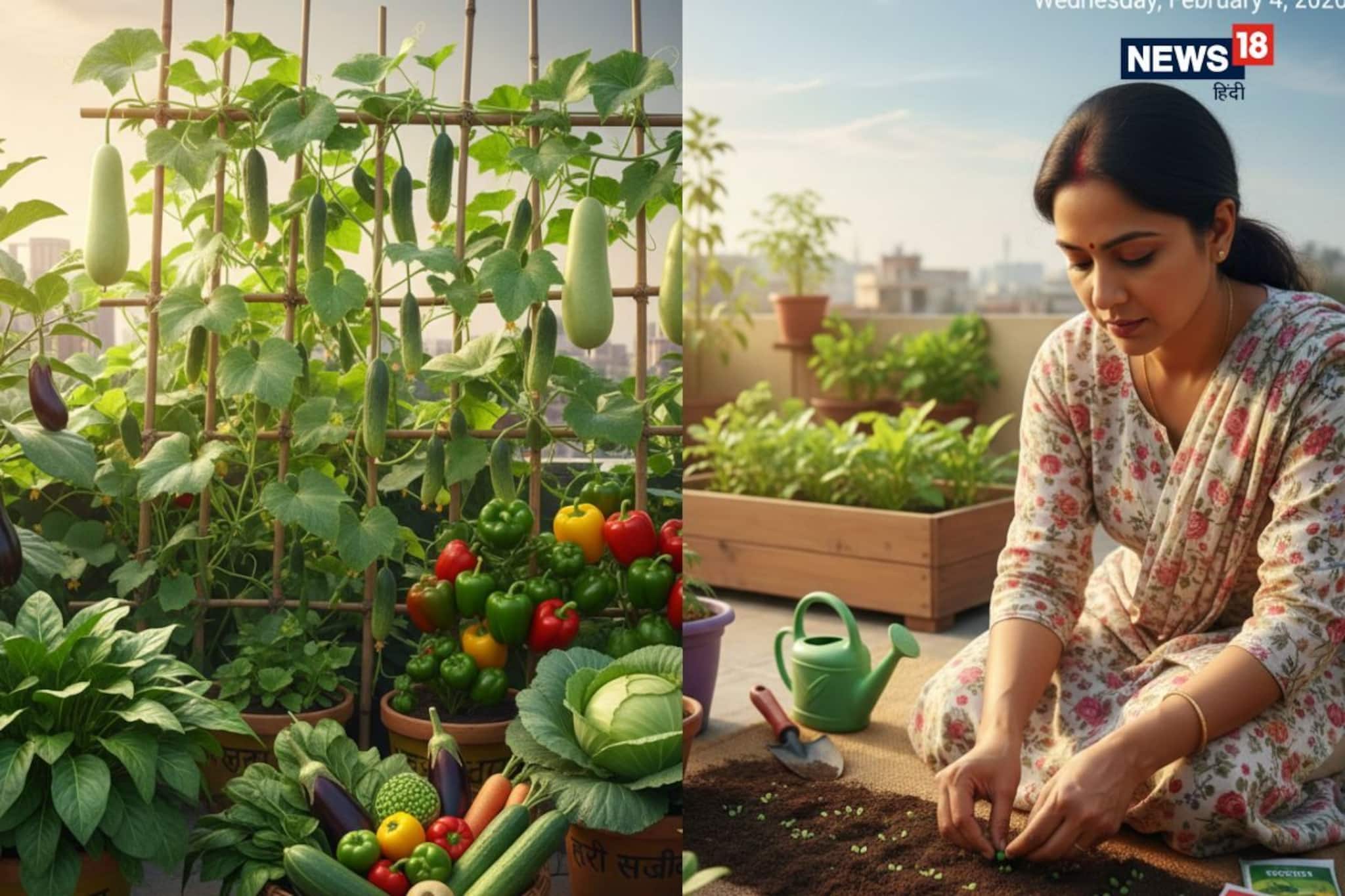 ফেব্রুয়ারি শেষের আগেই বাগানে ৮ সবজির বীজ ছড়ান, সারা গরম তাজা সবজিতে ভরবে বাগান