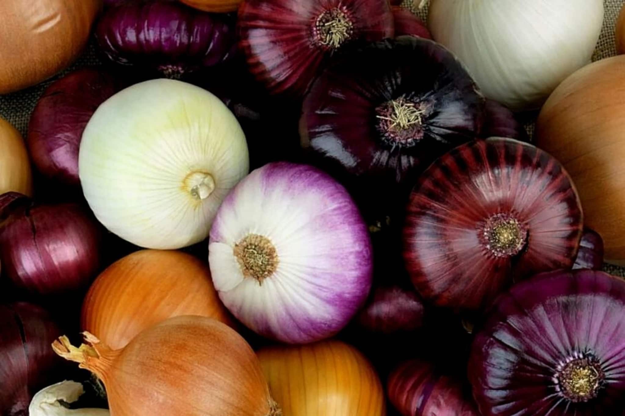 ভুলেও কাদের একটুও পেঁয়াজ খাওয়া উচিত নয়? এঁরা পেঁয়াজ থেকে যত দূরে থাকবে, ততই ভাল