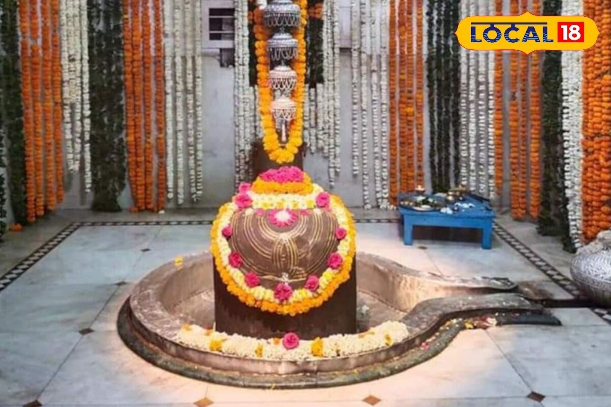 শিবরাত্রিতে বাড়িতেই ভগবান শিবকে নিবেদন করুন দুধ-সহ এই '৬' জিনিস, সংসার বাঁচবে কুনজর থেকে