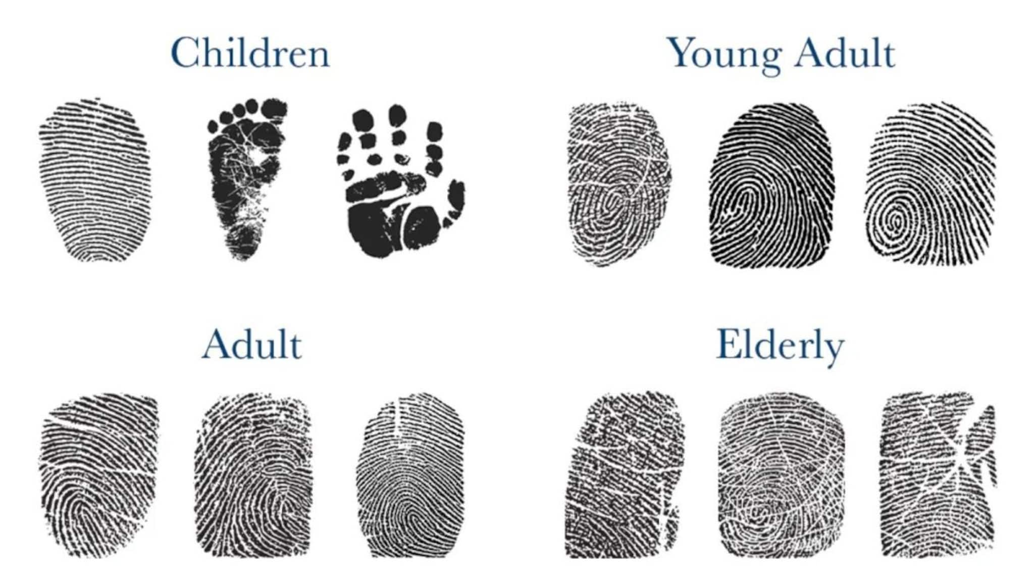 GK: আঙুলের ছাপ কীভাবে তৈরি হয়? কেন সকলের 'ফিঙ্গারপ্রিন্ট' আলাদা হবেই? উত্তর জানলে চমকাবেন নিশ্চিত