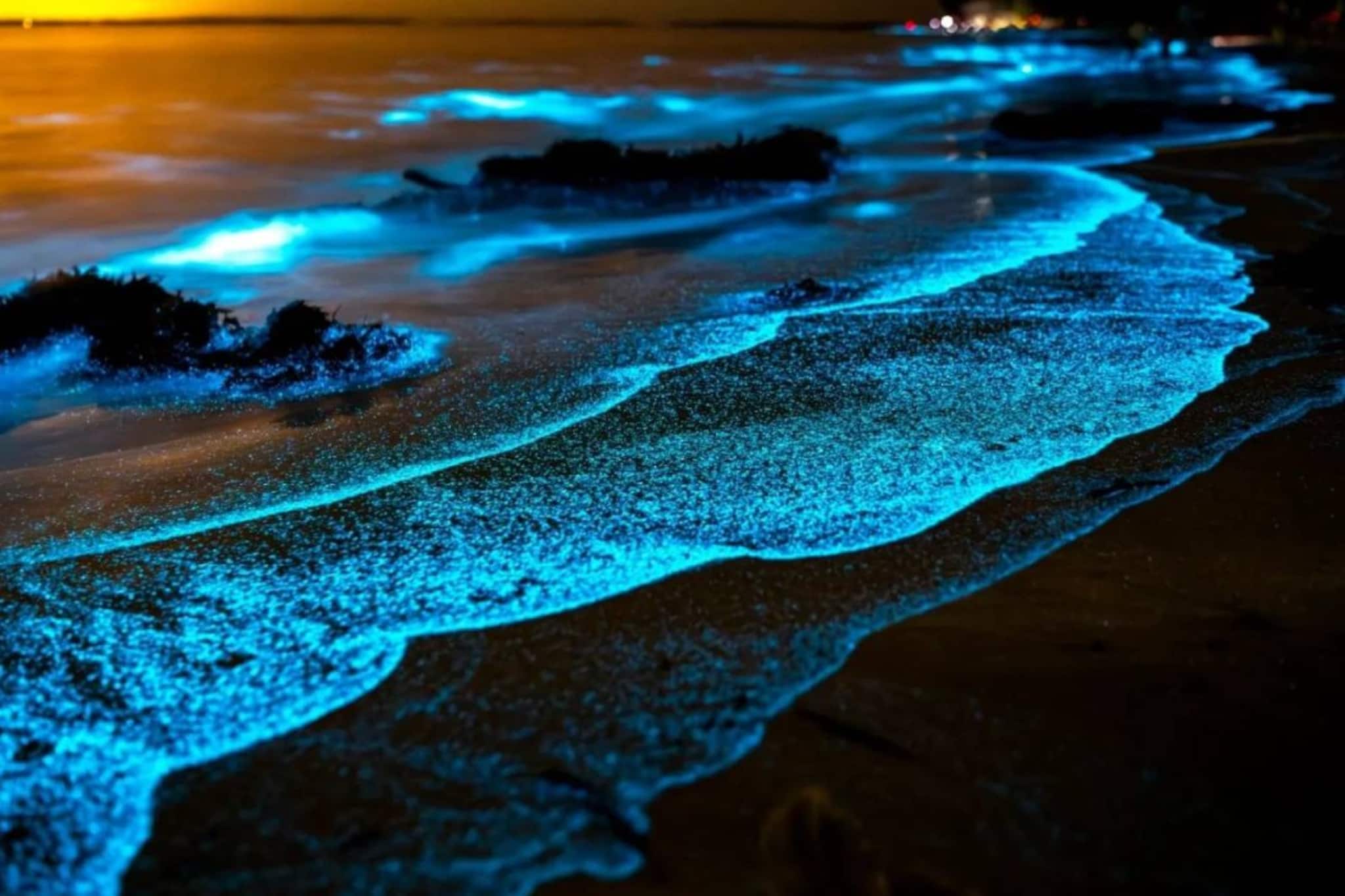 অন্ধকারে সমুদ্রের জলে আলো জ্বলে! ভারতের এই '৭' সৈকত রাতে ছবির চেয়েও সুন্দর, ছবি দেখুন