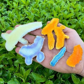 খয়েরি আদা নয়, পাতে রাখুন নীল আদা...জয়েন্ট,পেশির ব্যথা গায়েব করে,কোলেস্টেরল নিয়ন্ত্রণে রাখে খয়েরি আদা নয়, পাতে রাখুন নীল আদা...জয়েন্ট,পেশির ব্যথা গায়েব করে,কোলেস্টেরল নিয়ন্ত্রণে রাখে