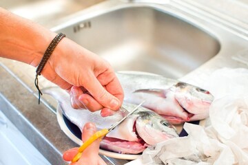 কিছু মাছ সুস্বাদু হলেও 'বিষাক্ত', পারদে ঠাসা কোন মাছ কাদের জন্য খাওয়া বিষের সমান? জানুন