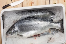 Fish Storage: বেশি করে মাছ কিনে ফ্রিজে রাখেন? জেনে নিন, ফ্রিজে কতদিন পর্যন্ত মাছ রেখে খেলে অসুস্থ হয়ে পড়বেন না